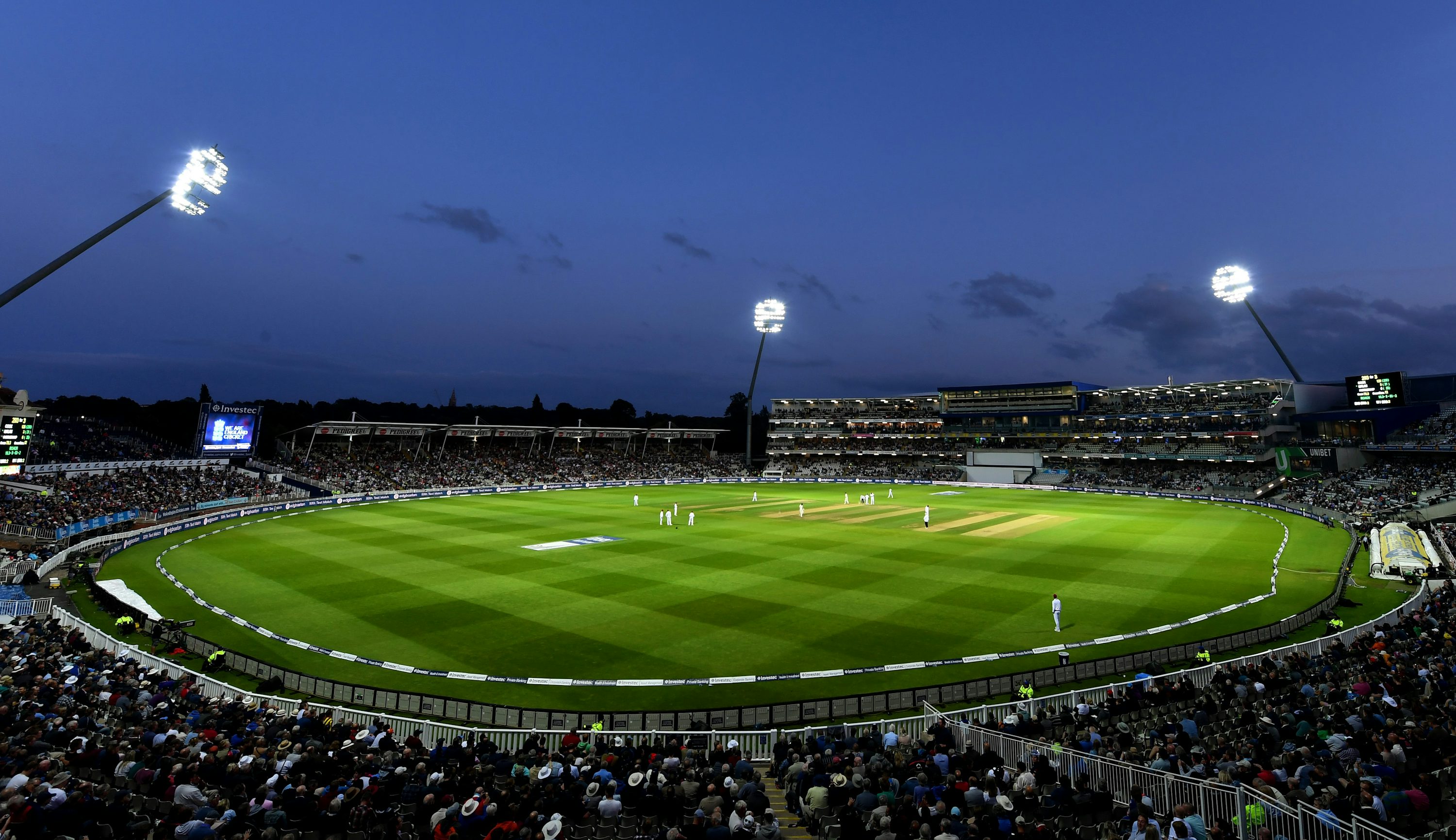 Winbuzz App: Your Gateway to Sports, Cricket and Online Gaming