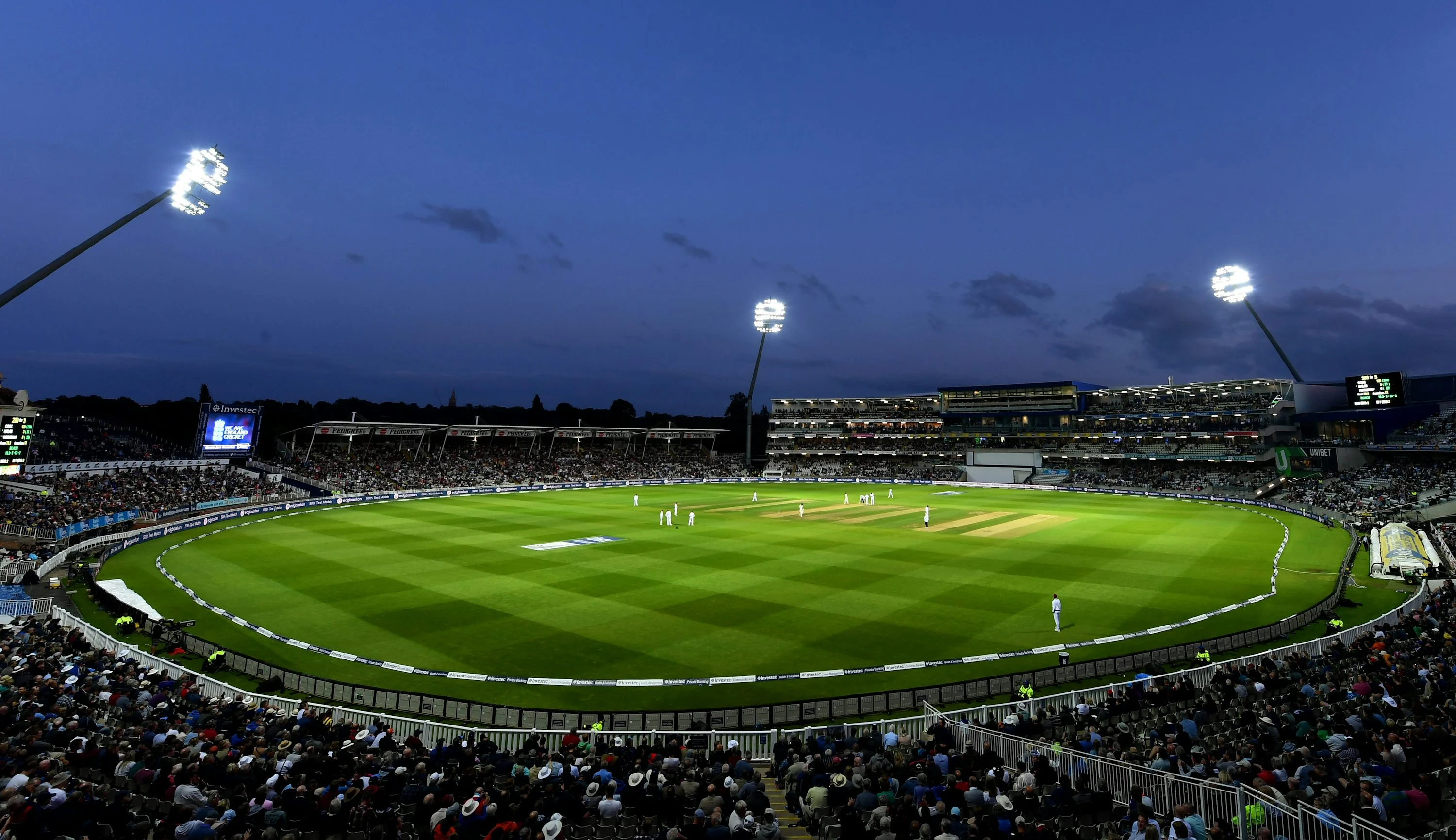 Winbuzz App: Your Gateway to Sports, Cricket and Online Gaming